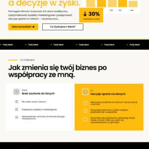 Szablon Marka Osobista